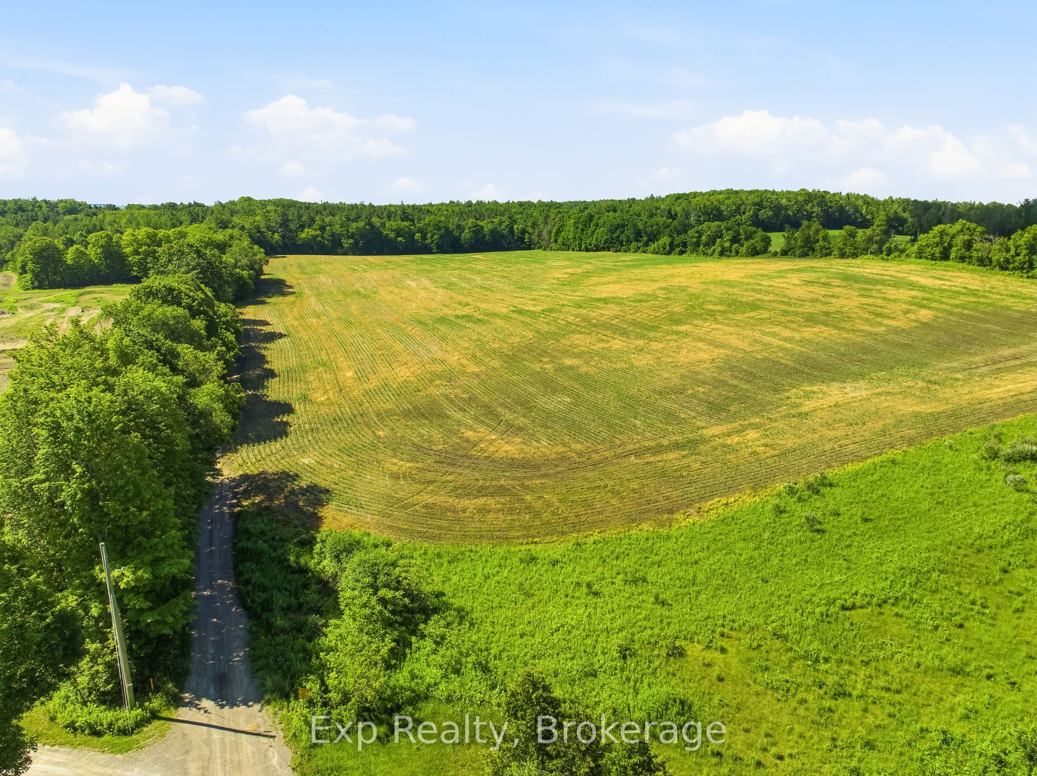 Residential in Alnwick/Haldimand 5