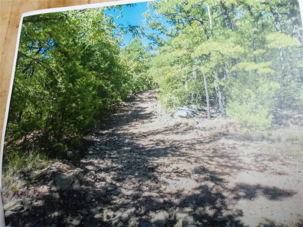 Land in Moyers 4