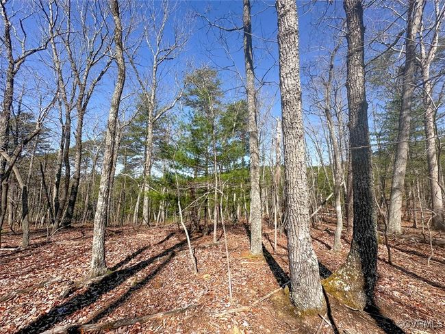 30.19 Acres (Off Of) Belvedere Dr, Home with 0 bedrooms, 0 bathrooms and null parking in Fieldale VA | Image 10