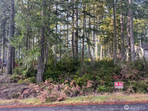 40 E Paint Brush Ln, Union, WA, 98592-8929 | Card Image