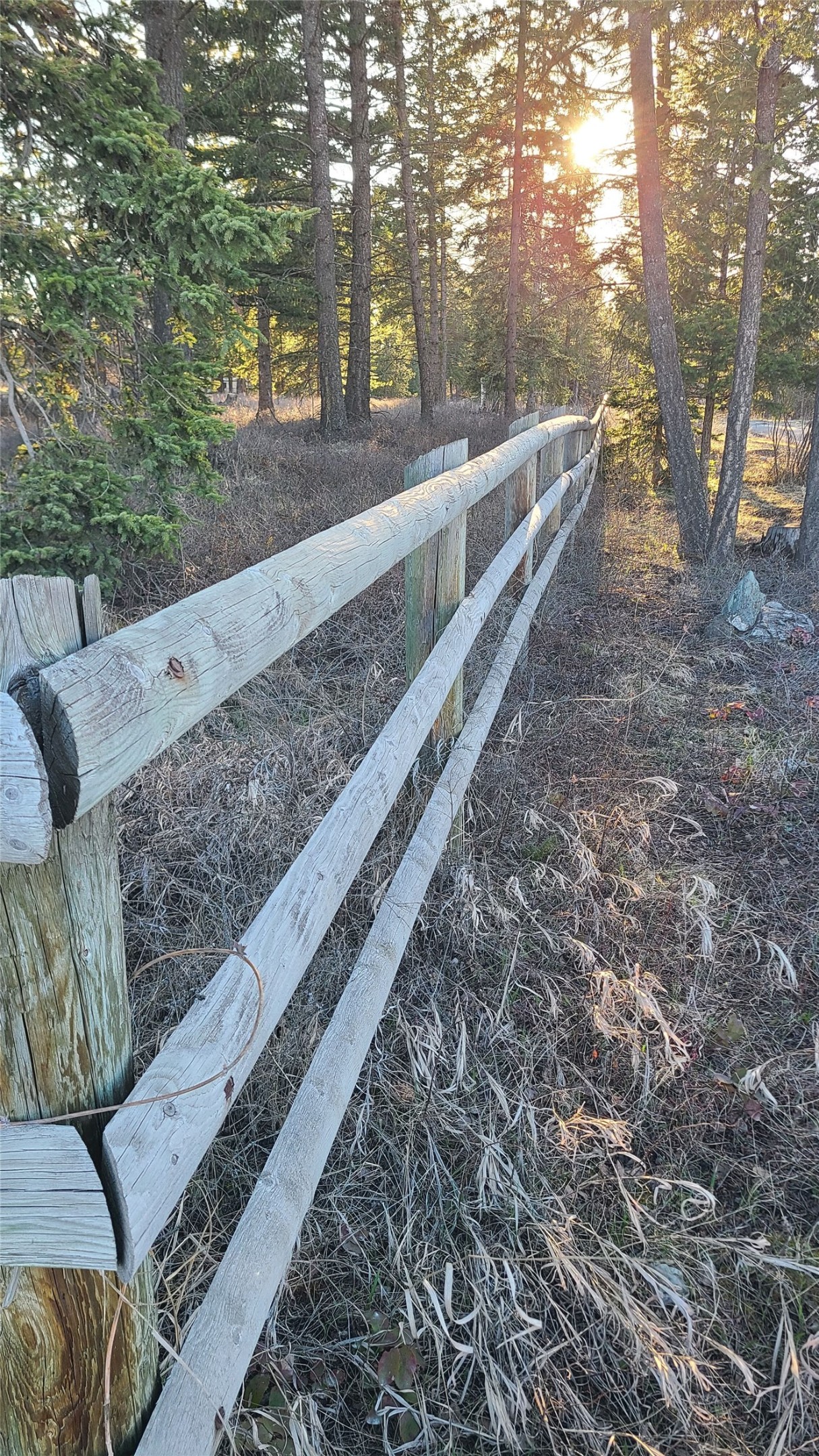 Land in Whitefish 5