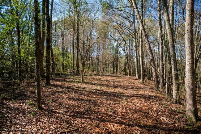 113 Ireland Ln, House other with 3 bedrooms, 2 bathrooms and null parking in CHICKAMAUGA GA | Image 31