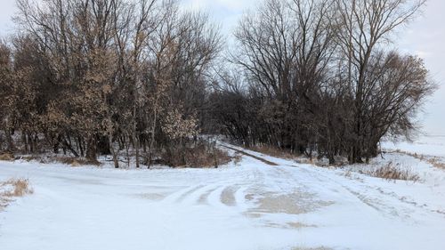 38489 100th Ave, CANNON FALLS, MN, 55009 | Card Image