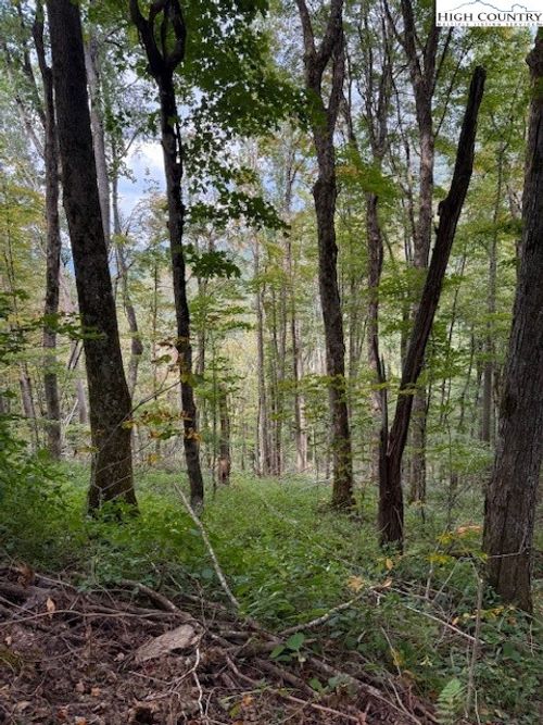 74 Tbd Poplar Trail, Creston, NC, 28615 | Card Image