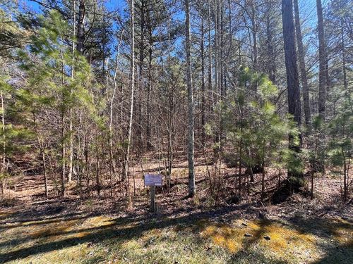Lot 50 Deyton Dr, Blairsville, GA, 30512 | Card Image