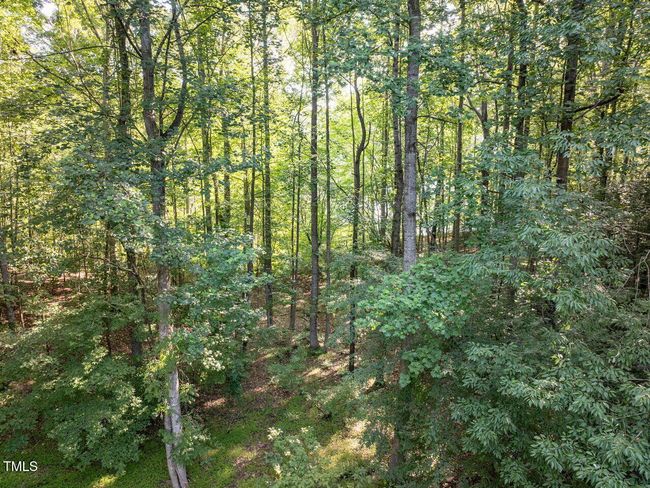 052-1280x960-photo | Image 52