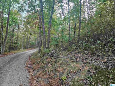 0 - 46 County Road 625, Home with 0 bedrooms, 0 bathrooms and null parking in Ranburne AL | Image 3