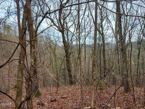 Lot 51 Cloud View Drive, Sevierville, TN, 37862 | Card Image