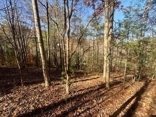 11/Ac Highway 19 E, Hampton, TN, 37658 | Card Image