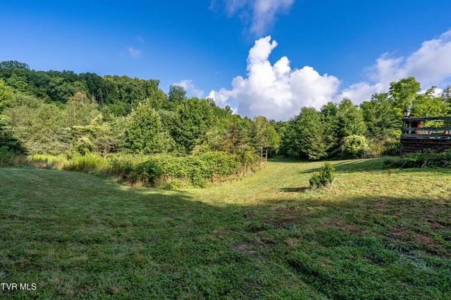 306 Bear Branch Rd, Home with 0 bedrooms, 0 bathrooms and null parking in Roan Mountain TN | Image 44