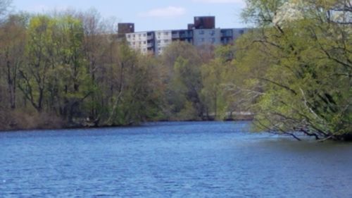 105-151 Coolidge Ave, Watertown, MA, 02472-2865 | Card Image
