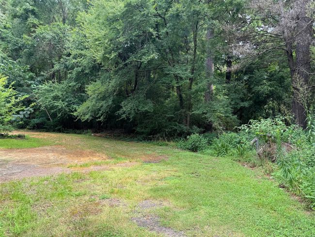 View of yard featuring a forest view | Image 23