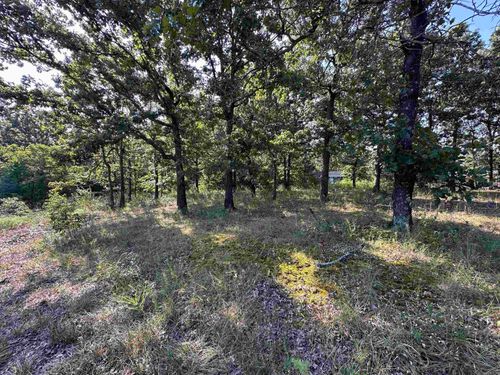 305, 307 &amp; 309 Ruby Ln, Horseshoe Bend, AR, 72512 | Card Image