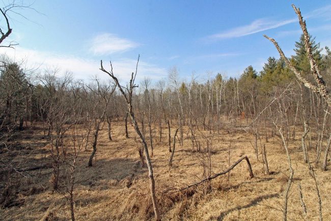 7750 Pine Rd, House other with 3 bedrooms, 2 bathrooms and null parking in ARENA WI | Image 49