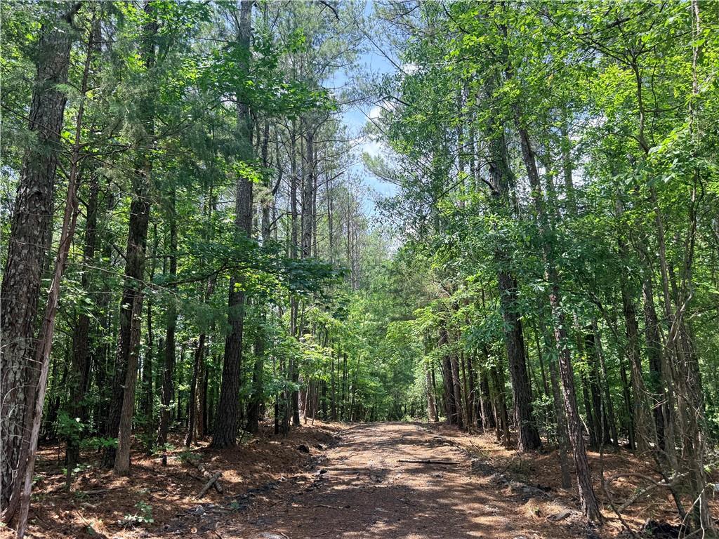 Land in Snellville