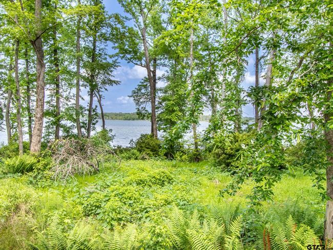 3126 Shadow Pine Dr, Home with 0 bedrooms, 0 bathrooms and null parking in LaRue TX | Image 17