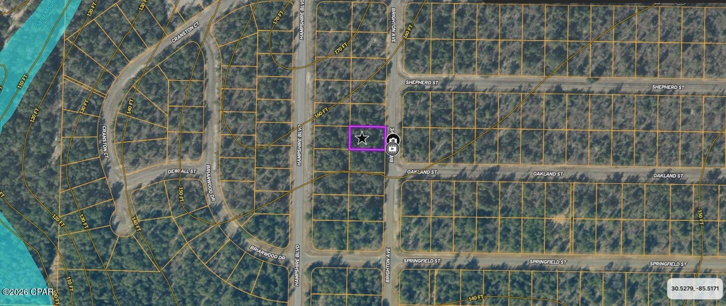Land in Chipley 5