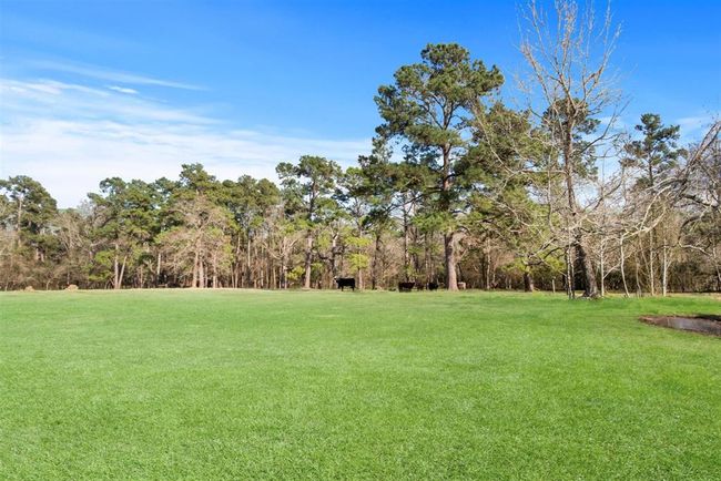 13259 Kidd Rd, Home with 3 bedrooms, 3 bathrooms and null parking in Conroe TX | Image 9