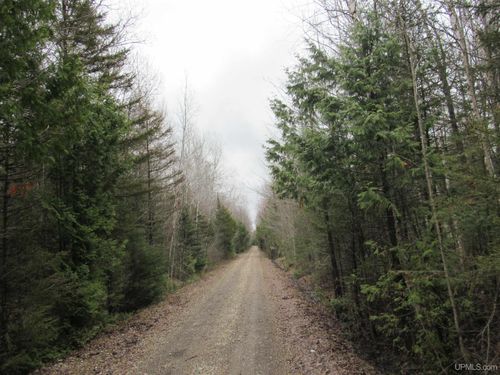 TBD Deerton-Sand Lake Road, Deerton, MI, 49822 | Card Image