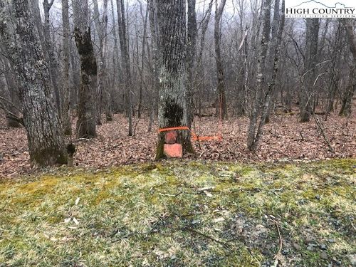 TBD Saddle Rd, Boone, NC, 28607 | Card Image