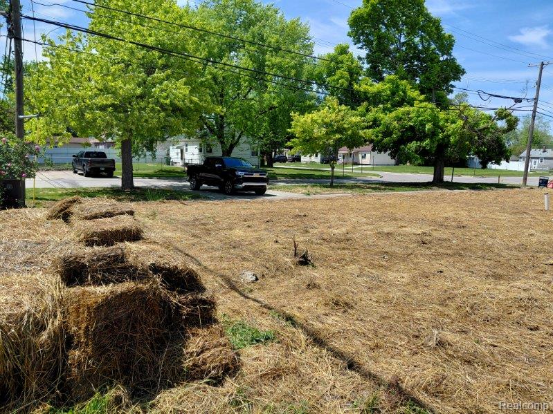 Land in Southgate 4