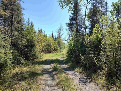 74 Acres Us41 Highway, Covington, MI, 49919 | Card Image