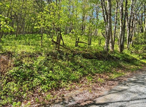 TBD Ed Perry Ln NC Tbd Ed Perry Ln Nc Lane, Banner Elk, NC, 28604 | Card Image