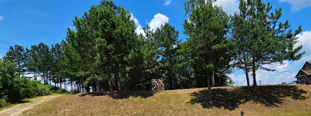 Land in Toccoa 2