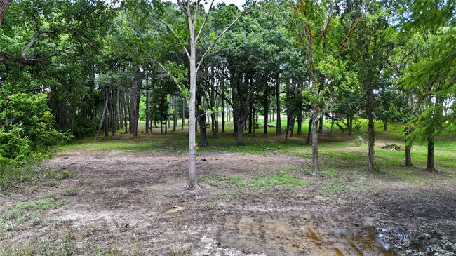 Lot 340 Grand View Dr, Home with 0 bedrooms, 0 bathrooms and null parking in Athens TX | Image 7