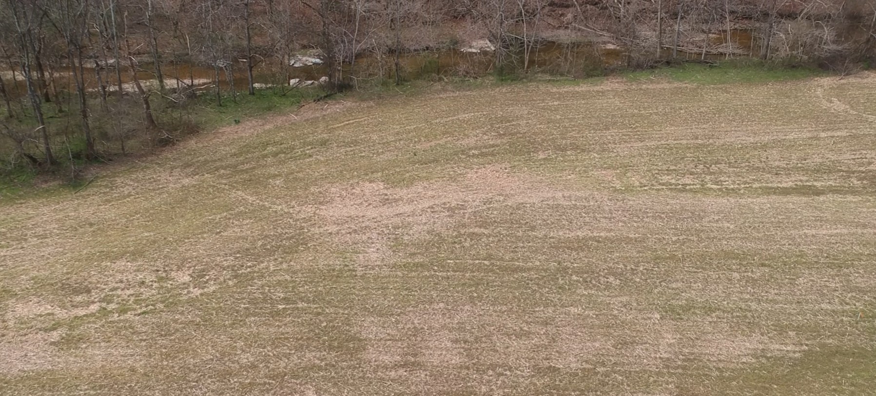 Land in Westmoreland 3