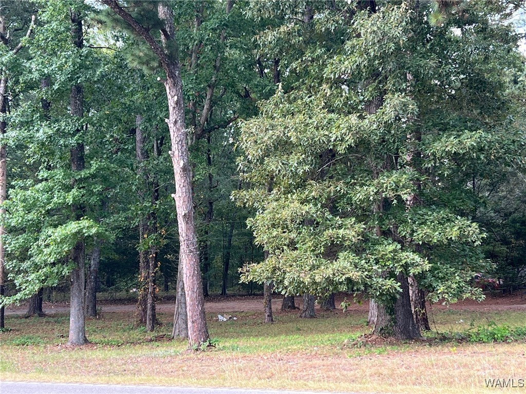 Land in McCalla 2