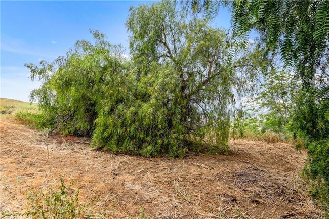 3050 Taylor St, Home with 0 bedrooms, 0 bathrooms and null parking in Riverside CA | Image 26