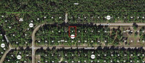 1628 E Badger Drive, Citrus Springs, FL, 34434 | Card Image