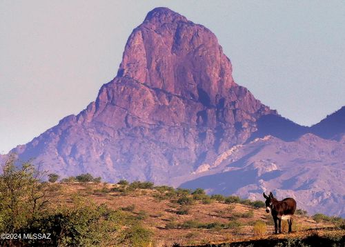 35700 S Cedar Creek Road, Arivaca, AZ, 85601 | Card Image