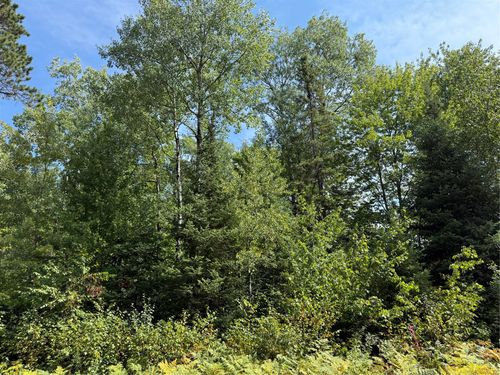 Lot 38 & 39 Stone Pine Drive, Cable, WI, 54821 | Card Image