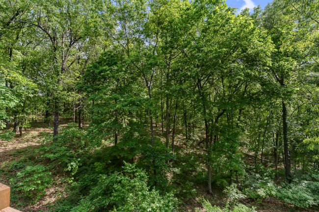 45 Stone Ridge-55 | Image 57