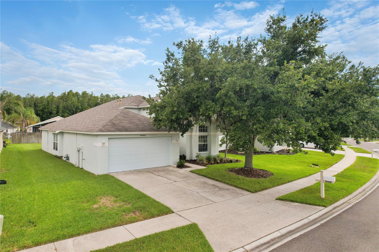 Residential in WESLEY CHAPEL 2
