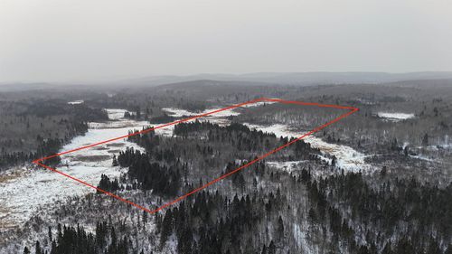 XXX Zeke'S Rd, Schroeder, MN, 55613-4336 | Card Image