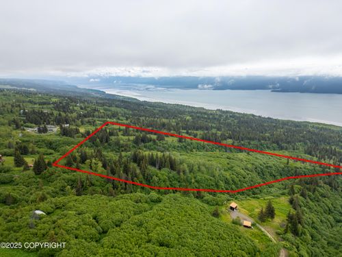 L2 Lupas Avenue, Homer, AK, 99603 | Card Image