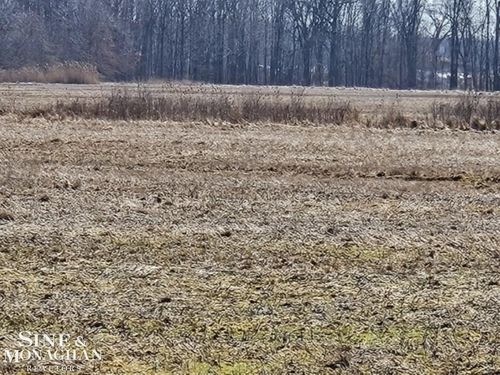 VL Springborn Road, Casco Township, MI, 48064 | Card Image