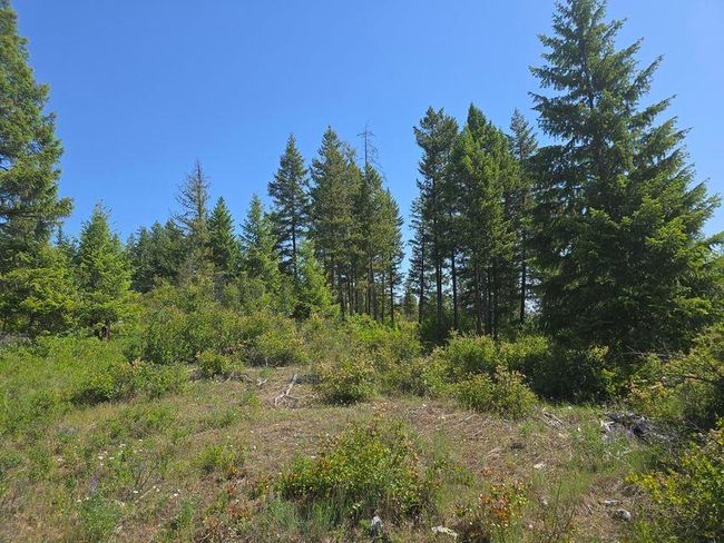 3715 Hill Loop Rd, Home with 0 bedrooms, 0 bathrooms and null parking in Kettle Falls WA | Image 19