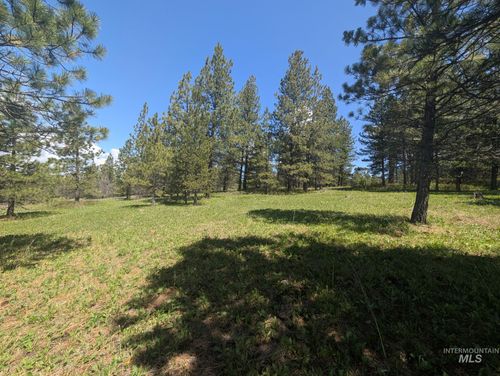 TBD Jack Pine Rd, CottonWood, ID, 83522 | Card Image