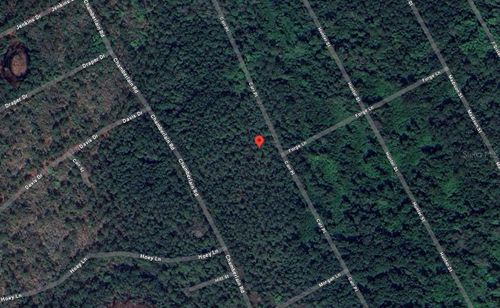 125 Carr Pl, Satsuma, FL, 32189 | Card Image