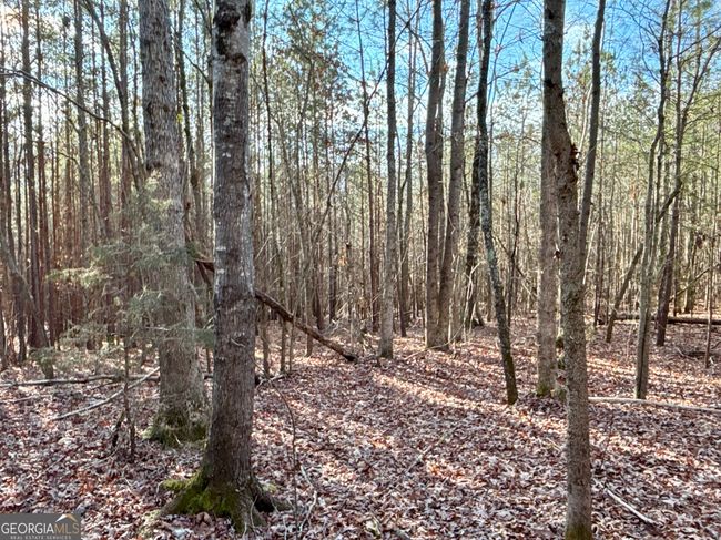 0 Hollyhock Ln, Home with 0 bedrooms, 0 bathrooms and null parking in Rock Spring GA | Image 11
