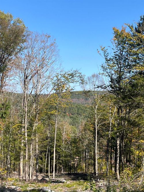 Map 227 Lot 010 Underwood Road, Acworth, NH, 03601 | Card Image