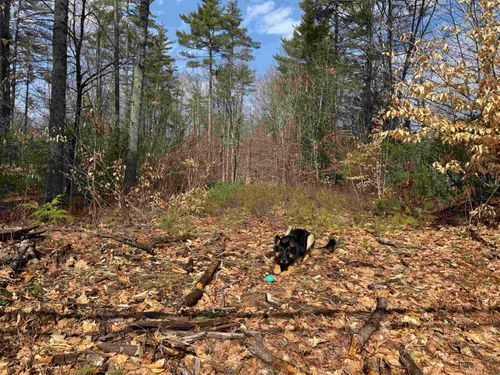 0 Green Mountain Rd, Effingham, NH, 03882 | Card Image