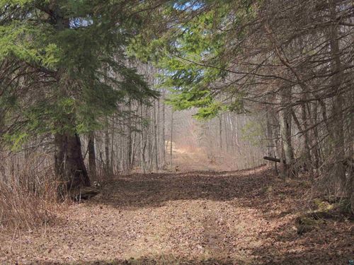XXX Springdale Rd, Tofte, MN, 55615 | Card Image