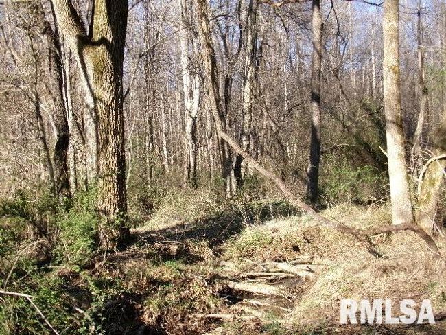 2225 Route 34, House other with 4 bedrooms, 2 bathrooms and null parking in Rosiclare IL | Image 59