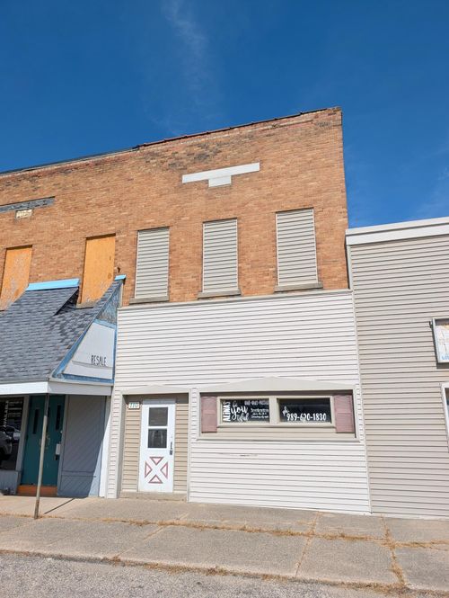110 N Newton Street, Fulton Township, MI, 48856 | Card Image