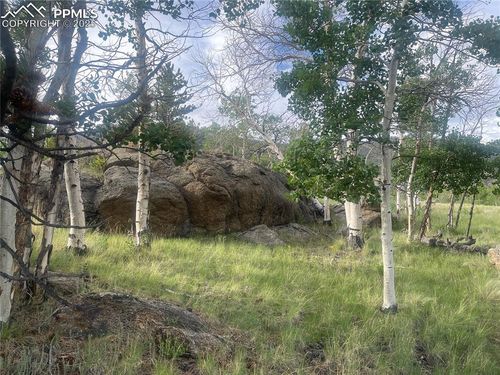 170 Emerald Way, Lake George, CO, 80827-9724 | Card Image